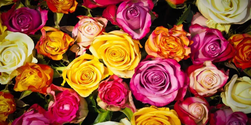 La cadena de frío, un proceso fundamental en el transporte de las flores